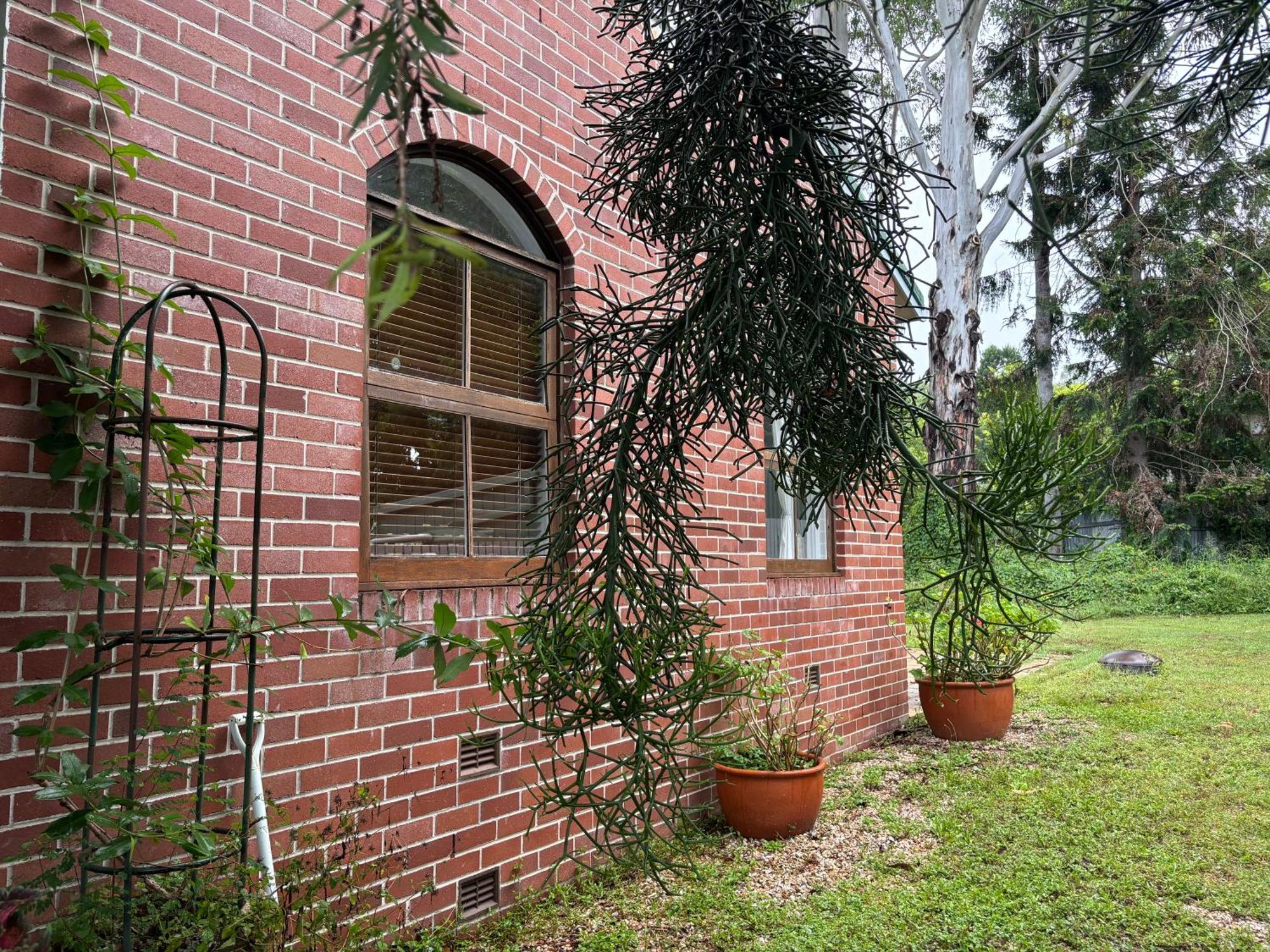 Celestial Dew Guesthouse In Tyalgum Exterior foto