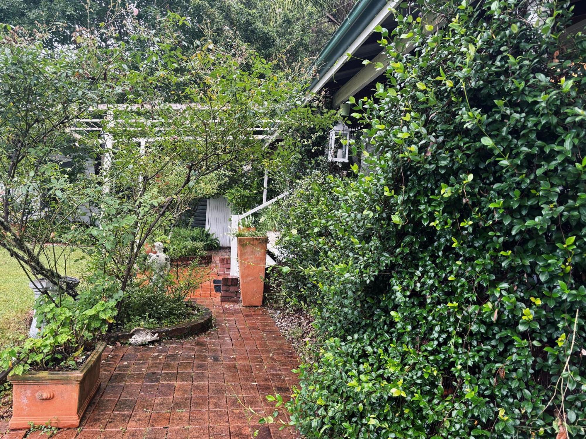 Celestial Dew Guesthouse In Tyalgum Exterior foto